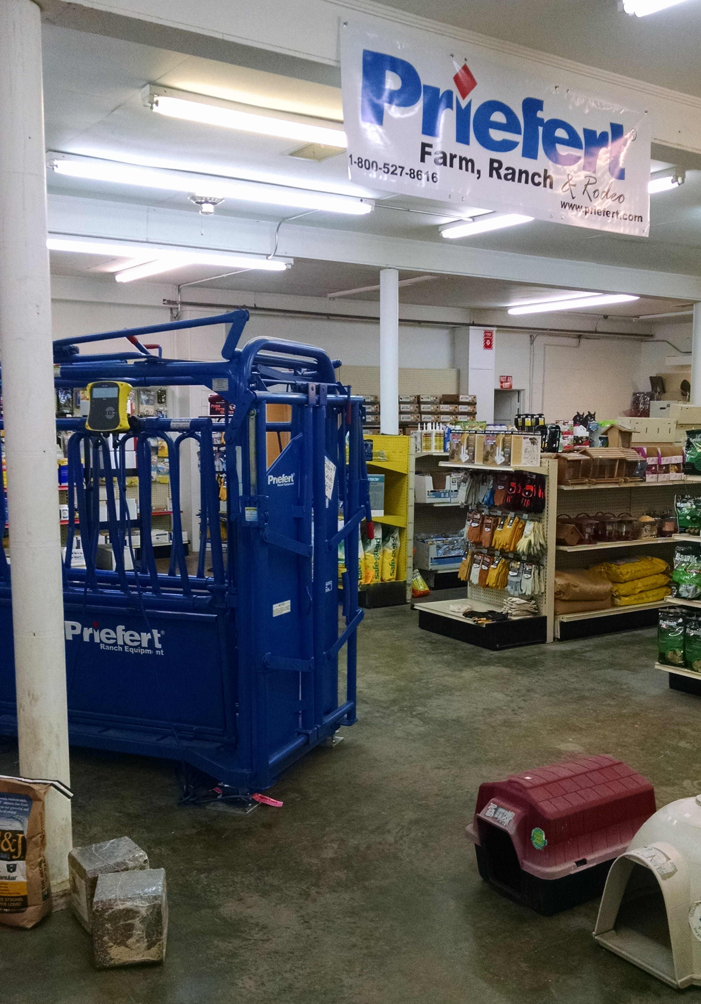 Indoor Squeeze Chute Display.jpg